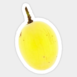 White seedless grape close-up Sticker